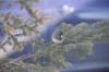 May 6, 2022 - Dark-eyed junco in Souris #2, Wanda Bailey