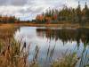 October 22, 2021 - McVarish's Pond, Sherry Pauley