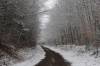 December 22, 2020 - Snowy Confederation Trail near Grant Road, Judy MacDonald